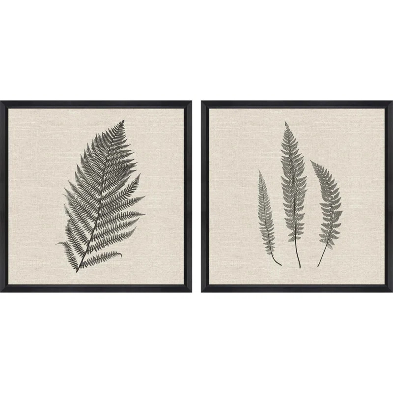 Set Of Two Modern Ferns II Brown Framed Print Wall Art | Wayfair North America
