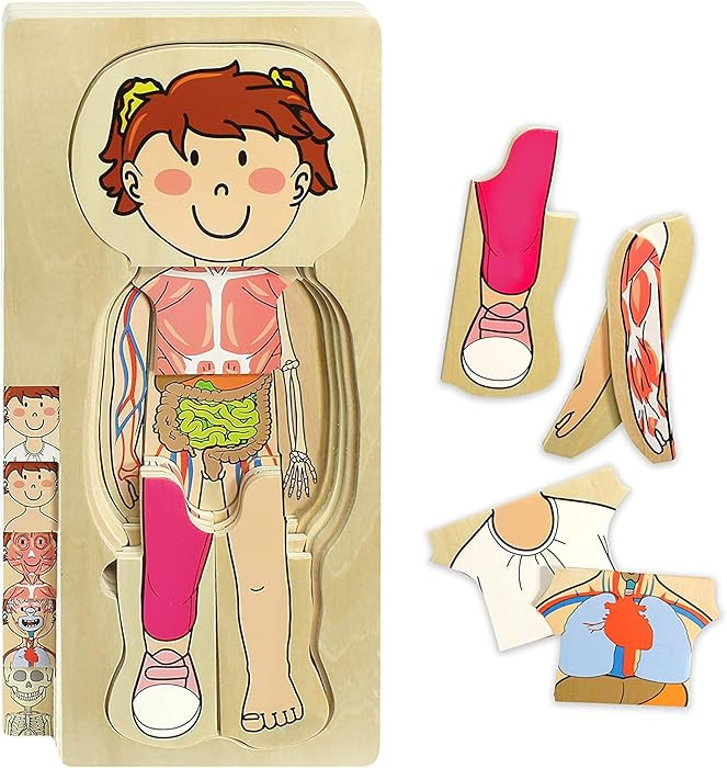 Kidzlane 29 Piece Wooden Puzzle for Toddlers and Kids - Boy Anatomy Puzzle Play Set - Layered Hum... | Amazon (US)