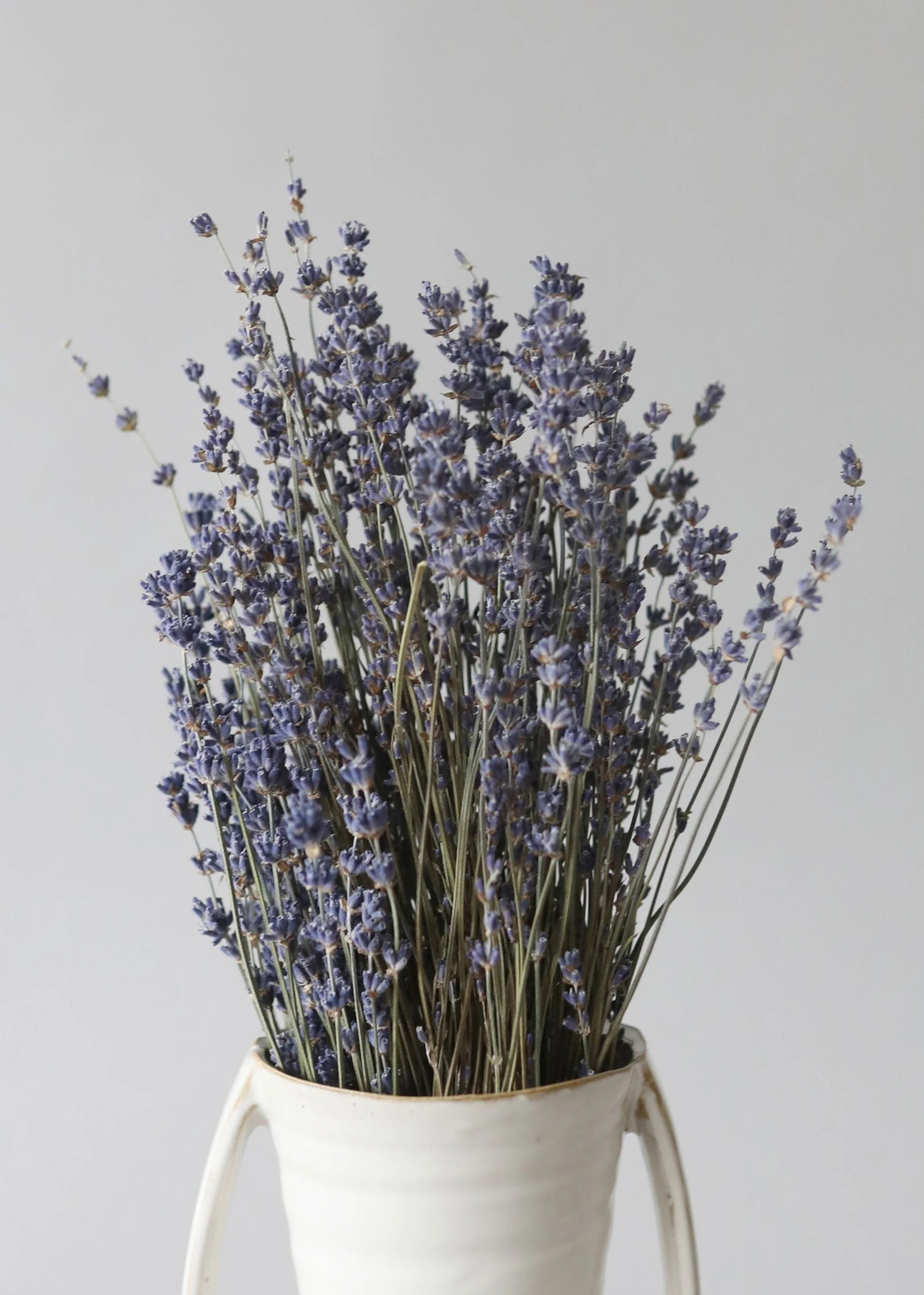 Natural Fragrant Dried Lavender Bundle | Dried Flowers at Afloral | Afloral