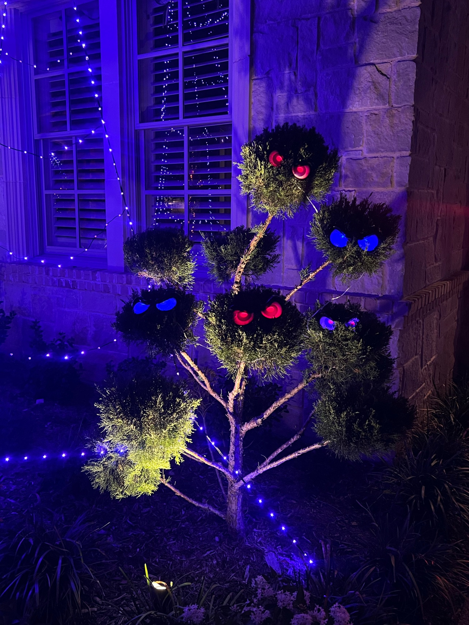 Halloween decor. Amazon Halloween decor. Glowing eyes 

#LTKHalloween