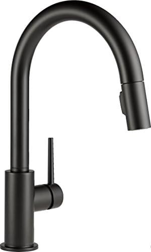 Delta Faucet Trinsic Single-Handle Kitchen Sink Faucet with Pull Down Sprayer and Magnetic Dockin... | Amazon (CA)