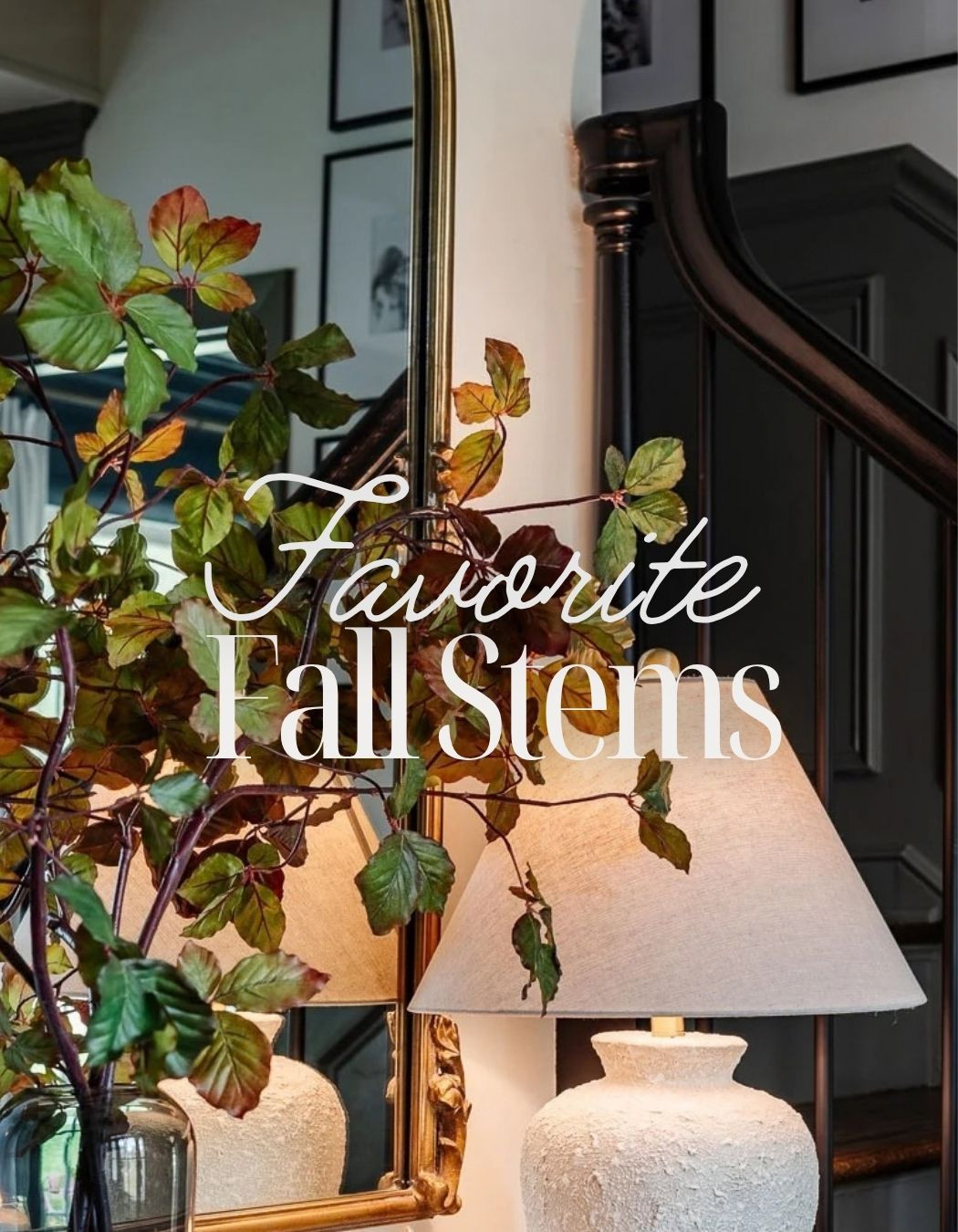 Fall stems for all budgets! 

Fall branches, greenery

#LTKSeasonal