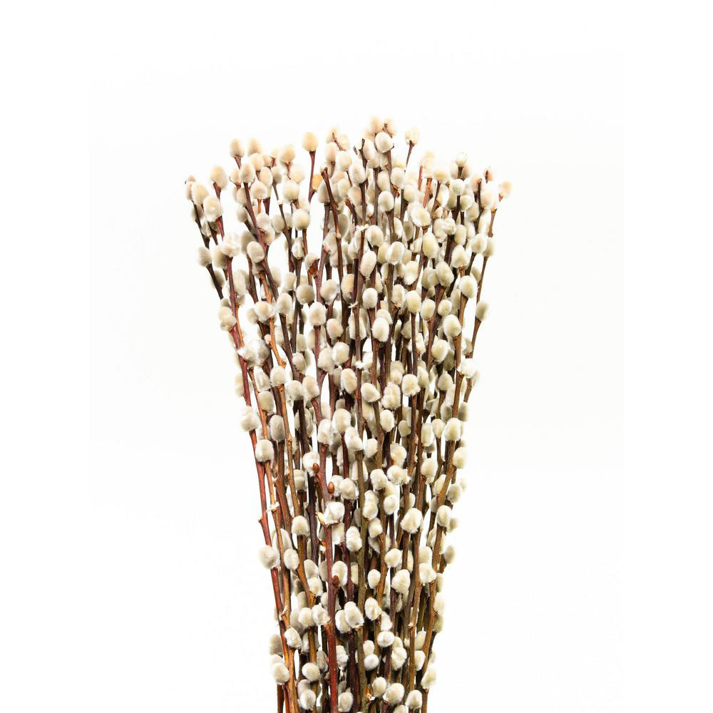 20 in. Assorted Mix Pussy Willow (Salix Caprea) Branch Plant Bundle (10-Pack) | The Home Depot