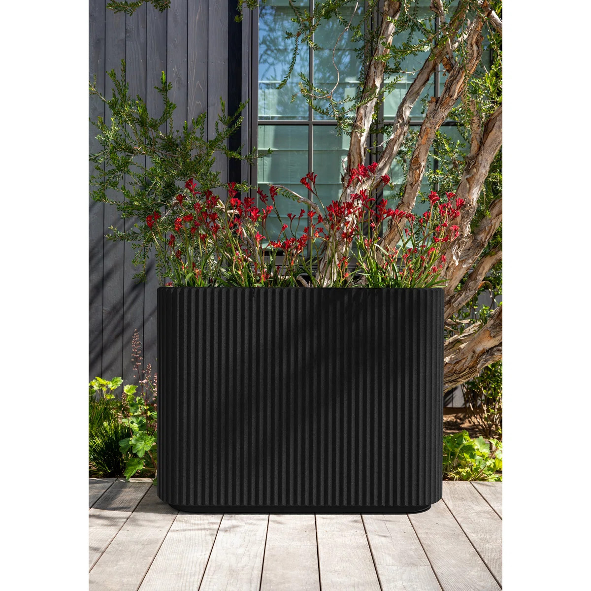 Veradek Demi Series Span Planter | Wayfair North America