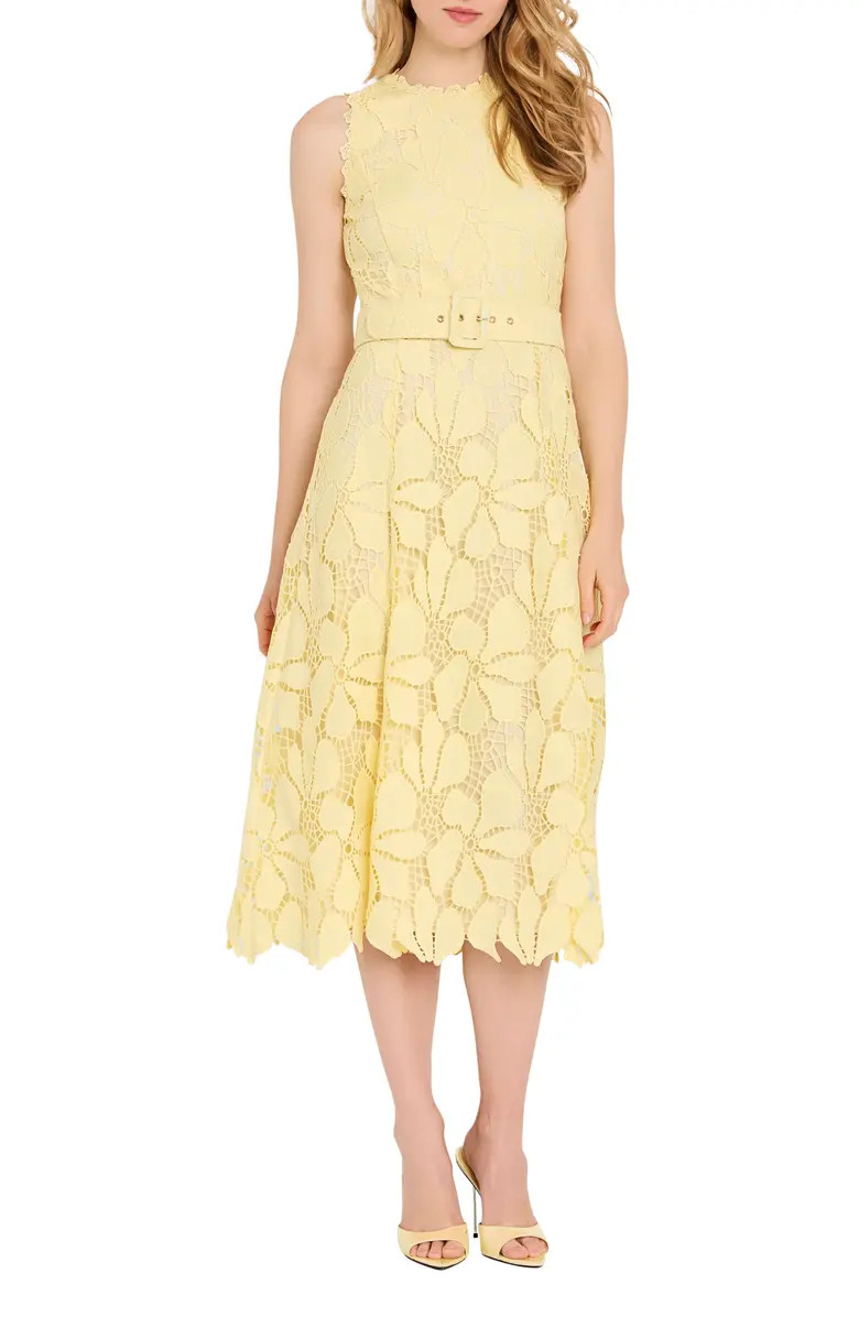 Sleeveless Belted Fit & Flare Dress | Nordstrom