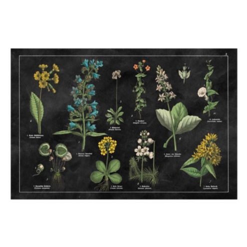 Botanicals Floor Mat | Ballard Designs, Inc.