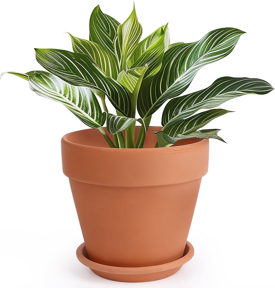 INGOFIN Terracotta Pot with Saucer - 10 Inch Ceramic Clay Pot for Plants with Drainage Hole, Terr... | Amazon (US)