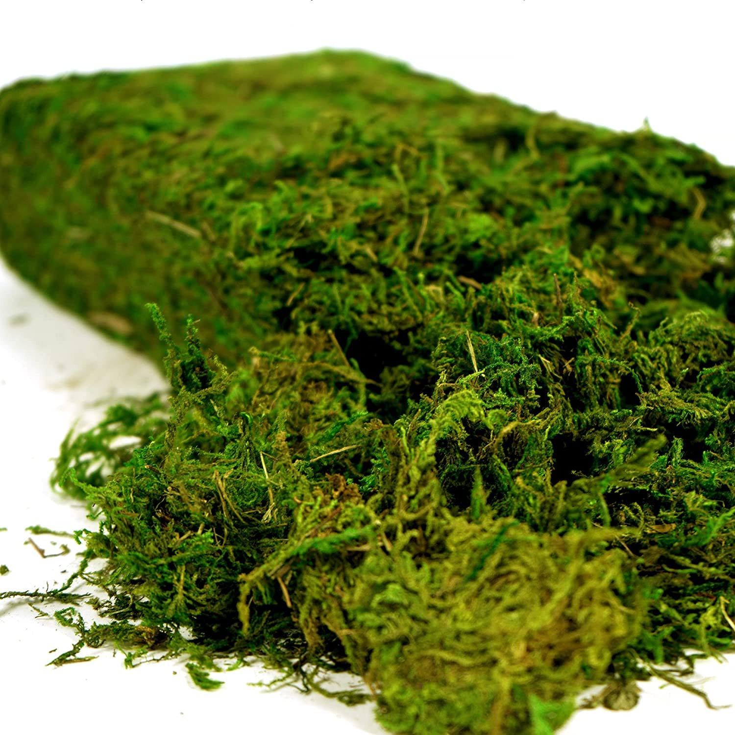 Artificial Moss, 16OZ Fake Moss for Crafts, Decorative Centerpieces, Fairy Garden, Wedding Party ... | Amazon (US)