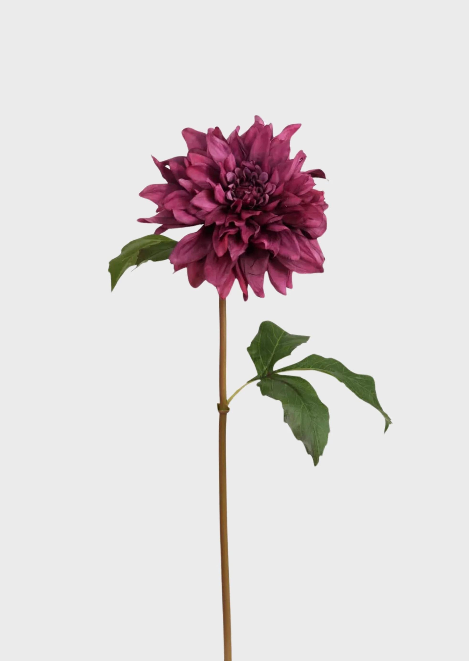 Premium Artificial Flowers | Fake Dahlia Flower | Afloral | Afloral