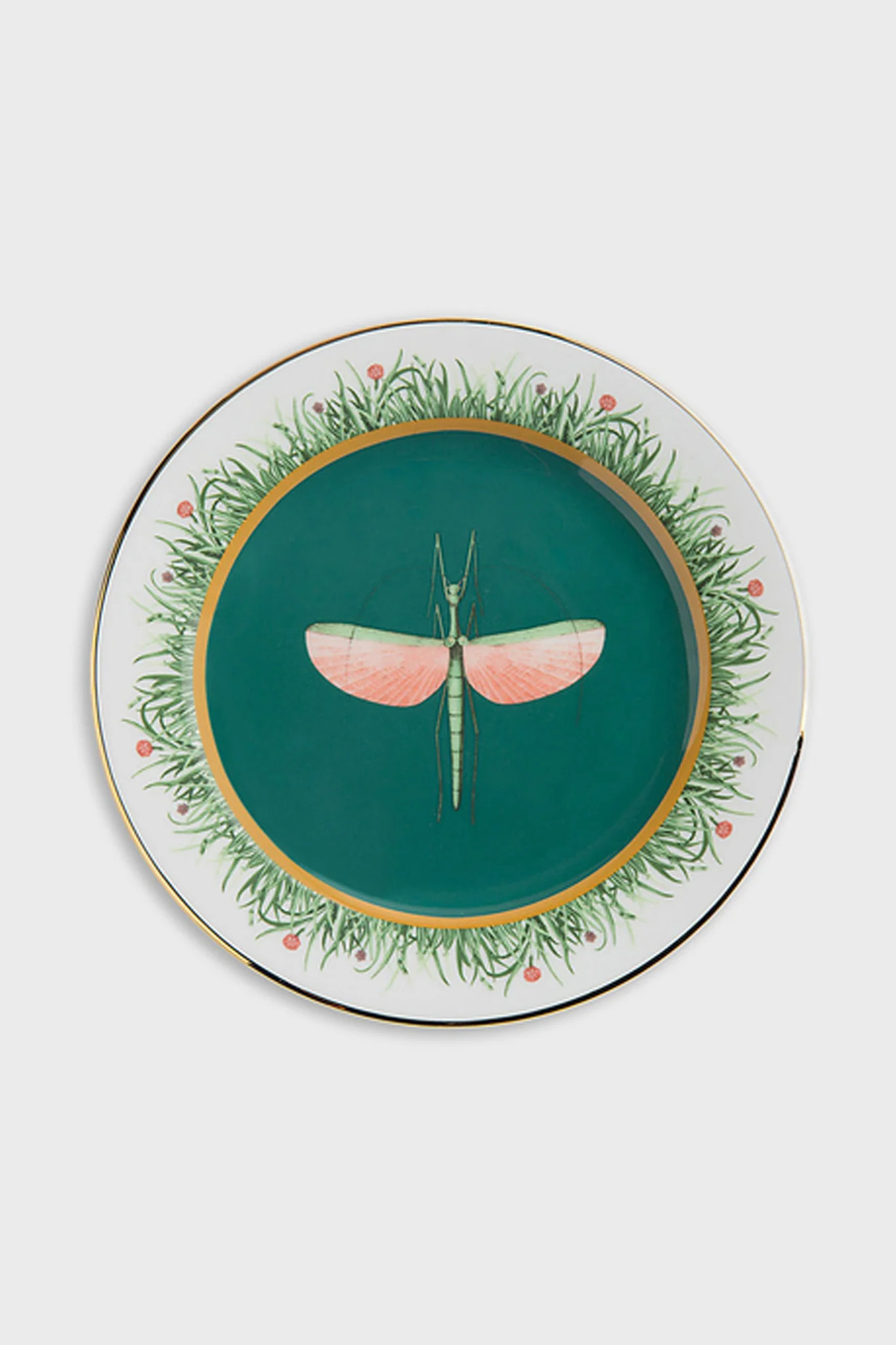 Libellula Dinner Plates (Set of 2) | Tuckernuck (US)