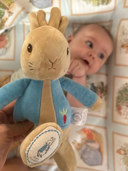 Peter Rabbit everything for Easter and everyday. 

#LTKaustralia #LTKbaby #LTKfamily