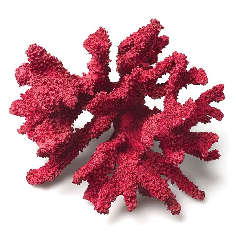 3D Coral Branch Decoration | Wayfair Professional