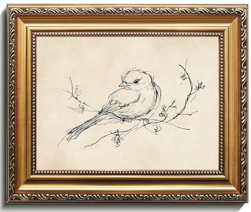 uniro Vintage Gold Framed Wall Art, Minimalist Bird Sketch Canvas Art Prints Painting, Antique Nature Line Drawing Wall Art Picture, Rustic Beige Decor Farmhouse Wall Decor for Bedroom, Gallary, Living Room, Office, Desktop - 9x12Inch | Amazon (US)
