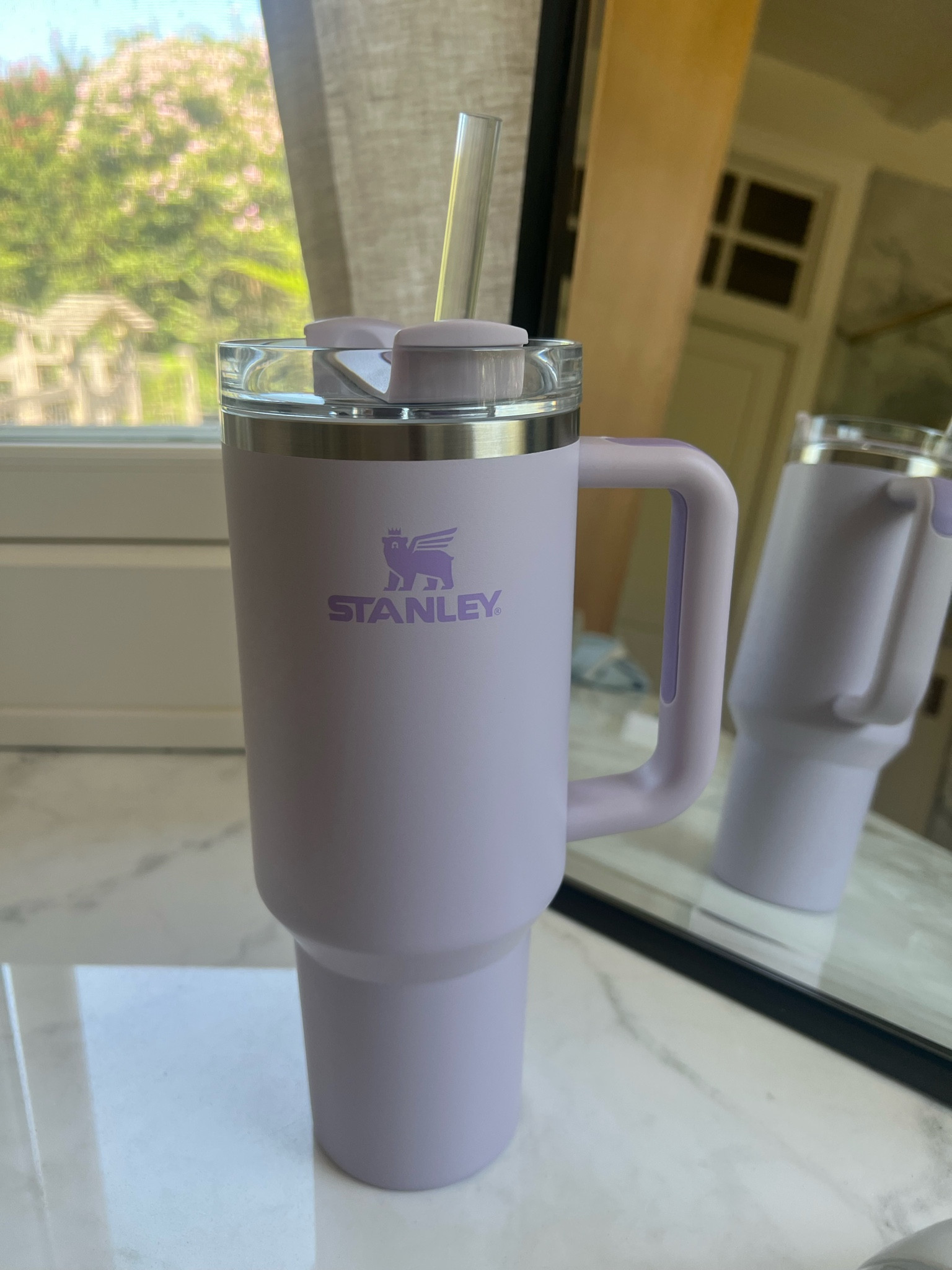 Gotta have a cute Stanley to get my water in for the day 🫢

#LTKfindsunder50 #LTKGiftGuide #LTKfitness