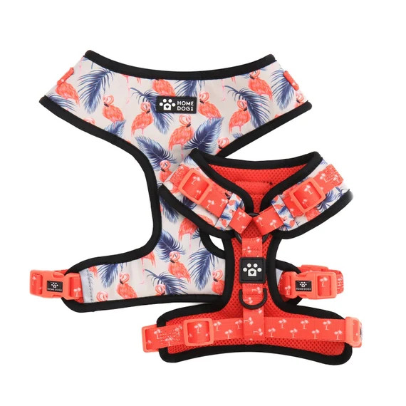 Adjustable Dog Harness - Aruba | Etsy (US)