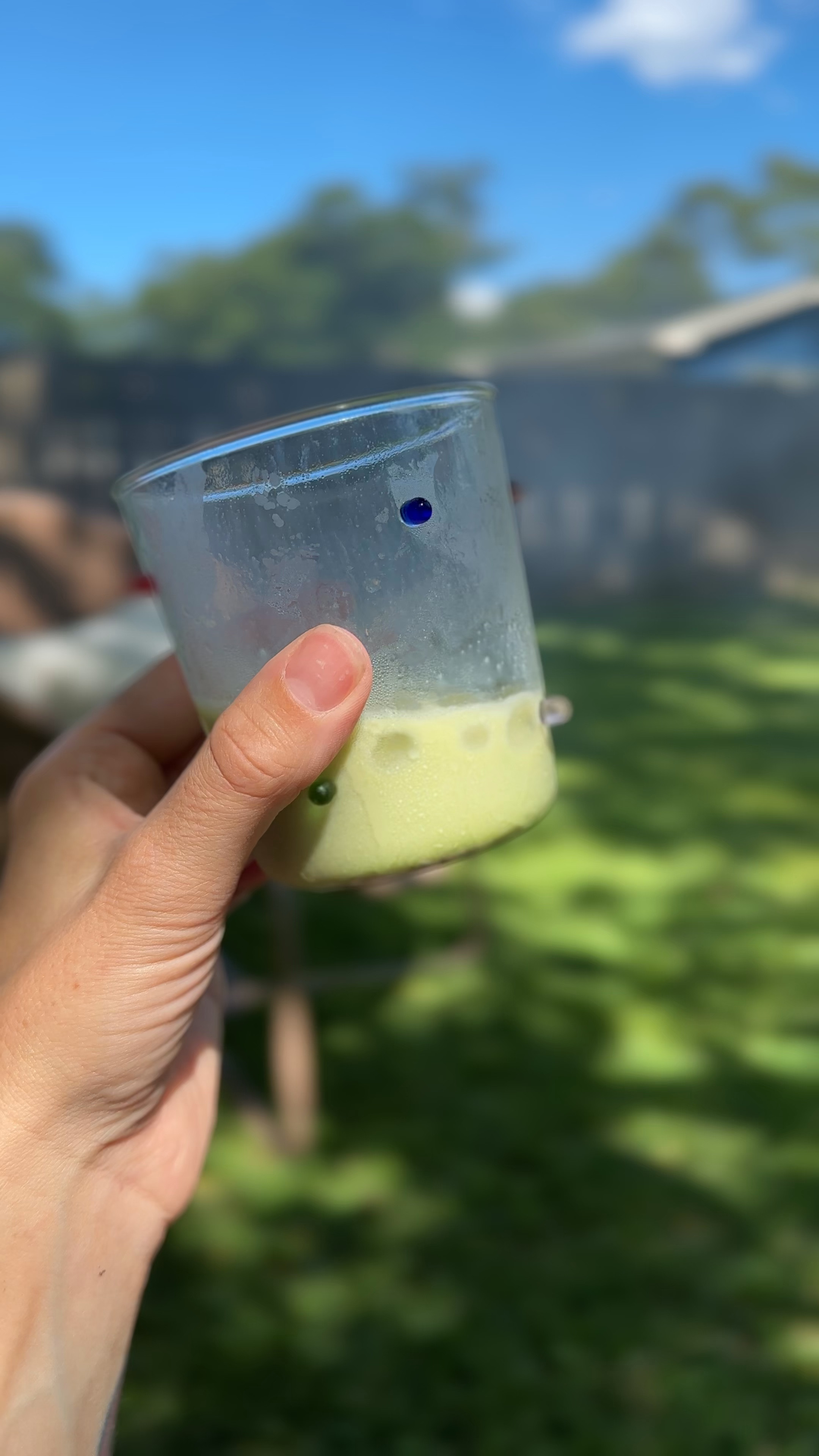 How cute is my new matcha glass 🥹🍵

#LTKVideo #LTKFindsUnder50 #LTKHome