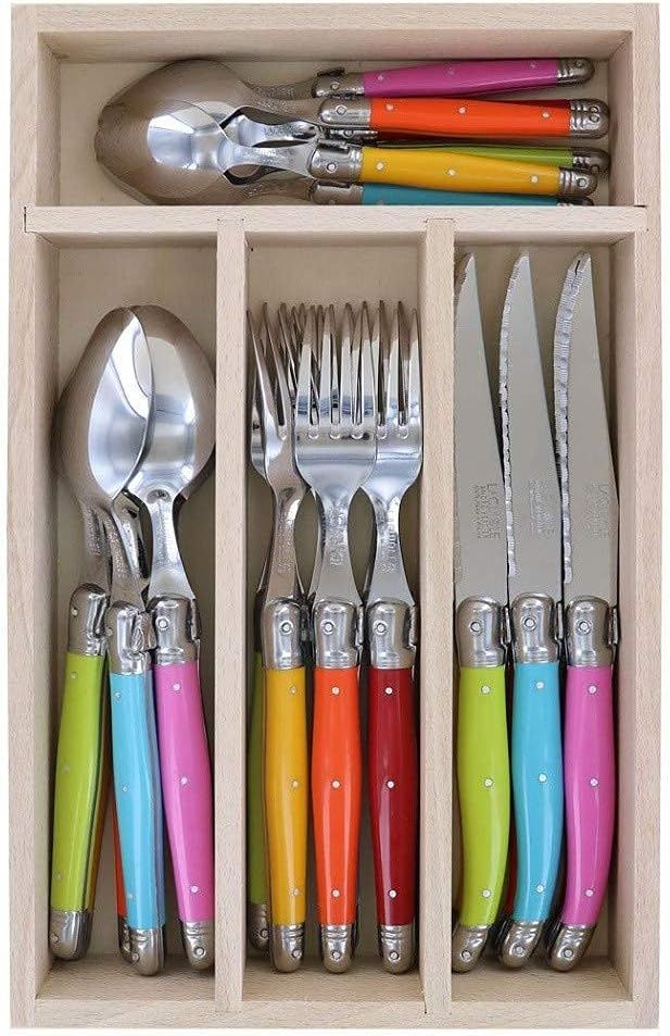 Jean Dubost 24 Piece Set Everyday Flatware Set With Handles, Laguiole, In a Tray With A Microfibe... | Amazon (US)