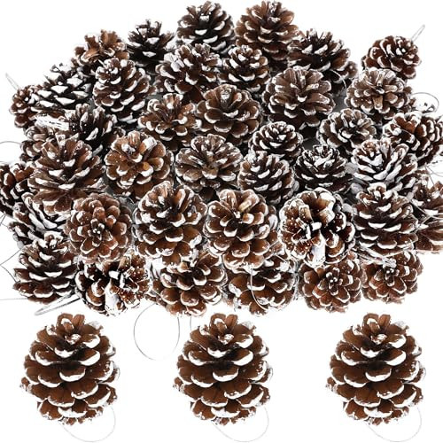 50Pcs Snow Pine Cones, 1.96 in Pinecone Ornaments, Natural Brown Christmas Ornaments, Pine Cones for Crafts, Cute Ornaments for Christmas Tree Decorations, Bulk Nuts Decorations with Silver String | Amazon (US)