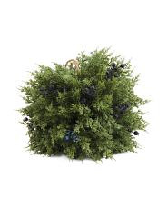 Outdoor Safe Real Touch Faux Pine And Blueberry Kissing Ball | TJ Maxx