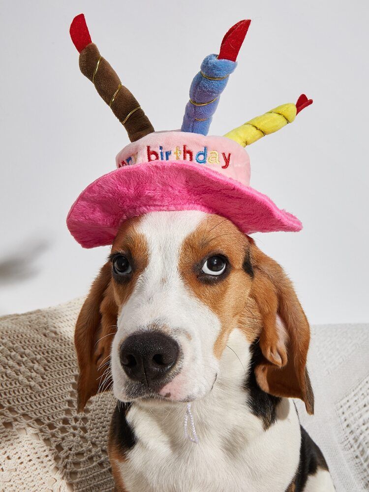1pc Birthday Cake Shaped Pet Hat | SHEIN