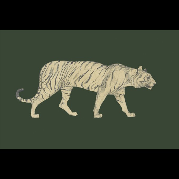TIGER | Juniper Print Shop