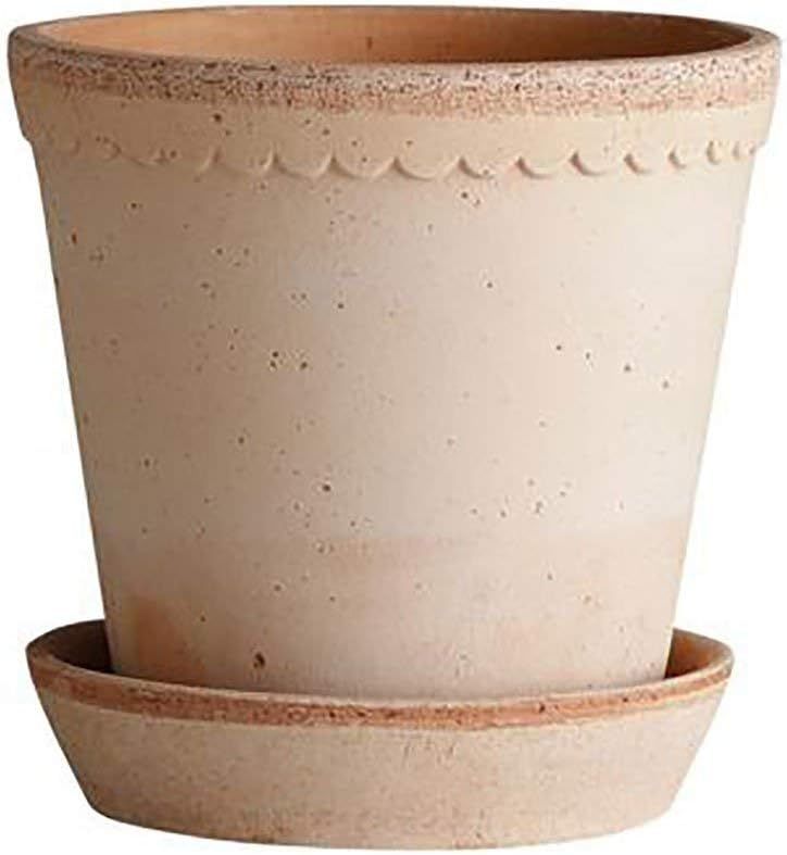 Handmade Terra Cotta Clay Helena Pot & Saucer in Antique Pink - 6.3" Wide | Amazon (US)