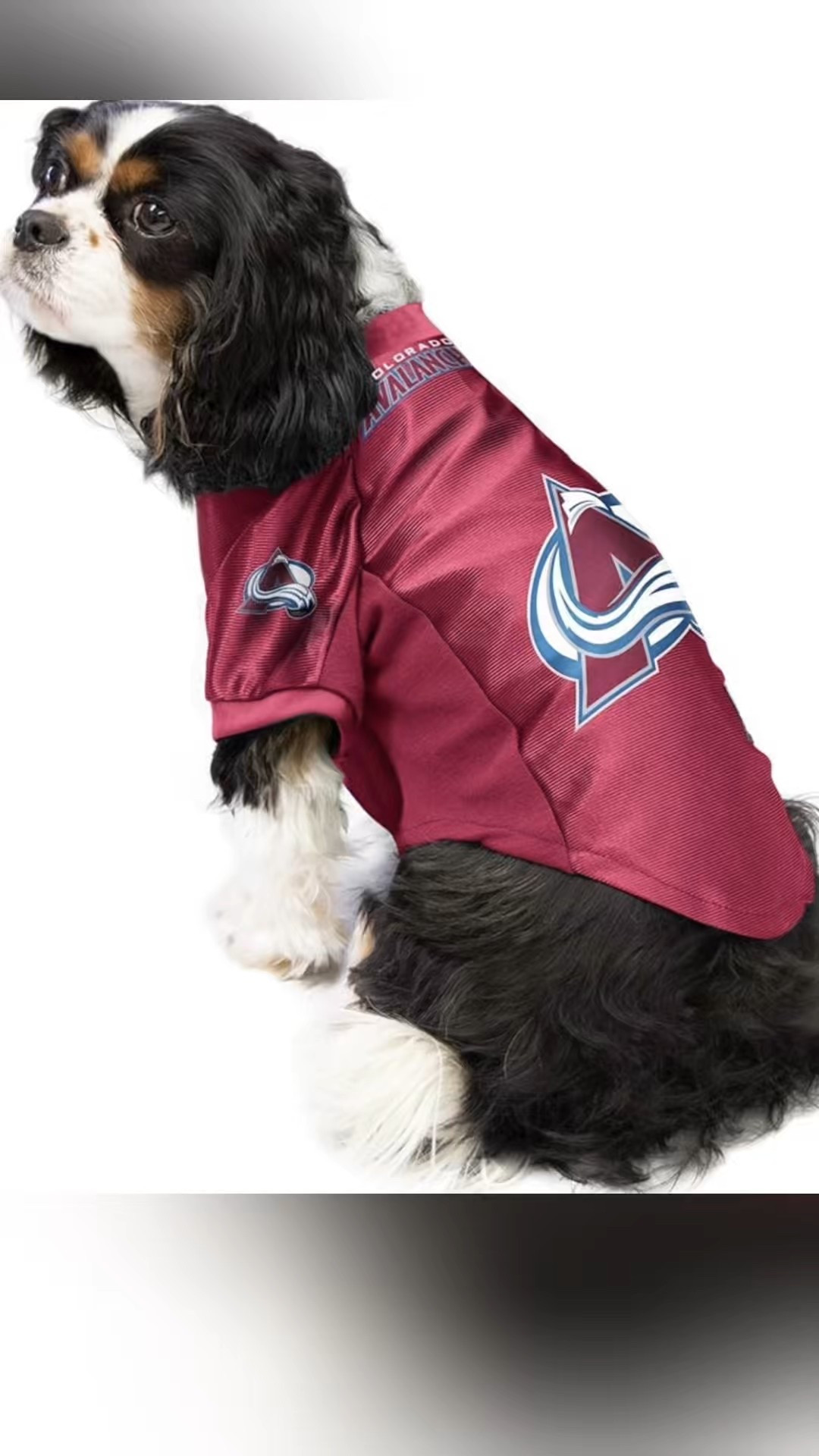 For your hockey dog! NHL Colorado Avalanche Stretch Pet Jersey, Medium
Or Team of Choice. 🏒🥅

#LTKSeasonal #LTKFindsUnder50 #LTKGiftGuide