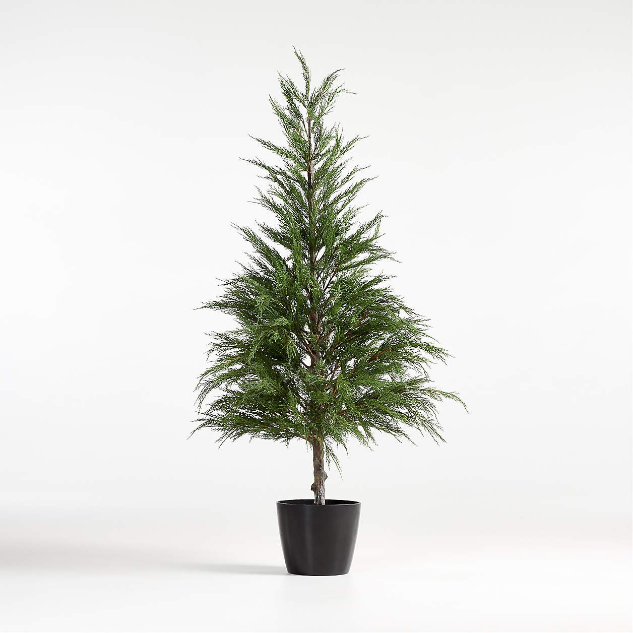 Faux Potted Cypress Trees | Crate and Barrel | Crate & Barrel