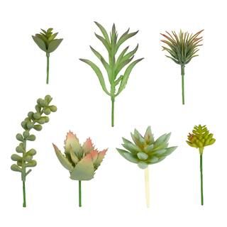 Green Succulent Picks by Ashland® | Michaels Stores