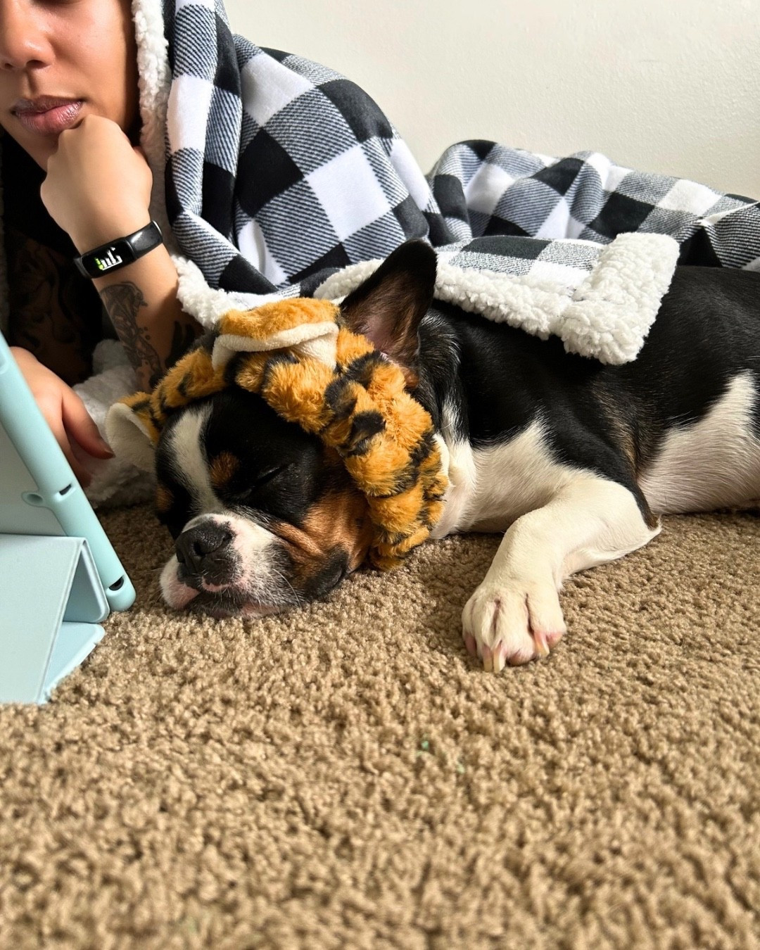 Yesterday was National Love Your Pet Day, and even though I'm posting late, the love is always right on time 💗

Rio has changed my life in every small, beautiful way — from tiny routines to the biggest moments 🥹

Here's to the pets who make our world feel full! 🐶✨

#LTKstorytime #LTKmomlife #LTKSaleAlert