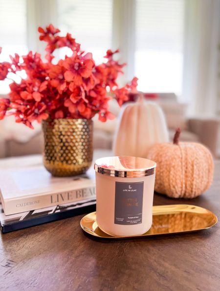 Candles provide such a cozy vibe, especially in the Fall & Winter months.  This Life in Lilac Better than Pie Candle smells so good - it comes in a bundle with a diffuser as well.  







Candle , life in lilac , fall decor , home decor , pumpkins , pumpkin decor , target style , target finds , target home , amazon home , amazon finds , coffee table , coffee table decor #ltkunder50 #ltkstyletip

#LTKunder100 #LTKSeasonal #LTKhome