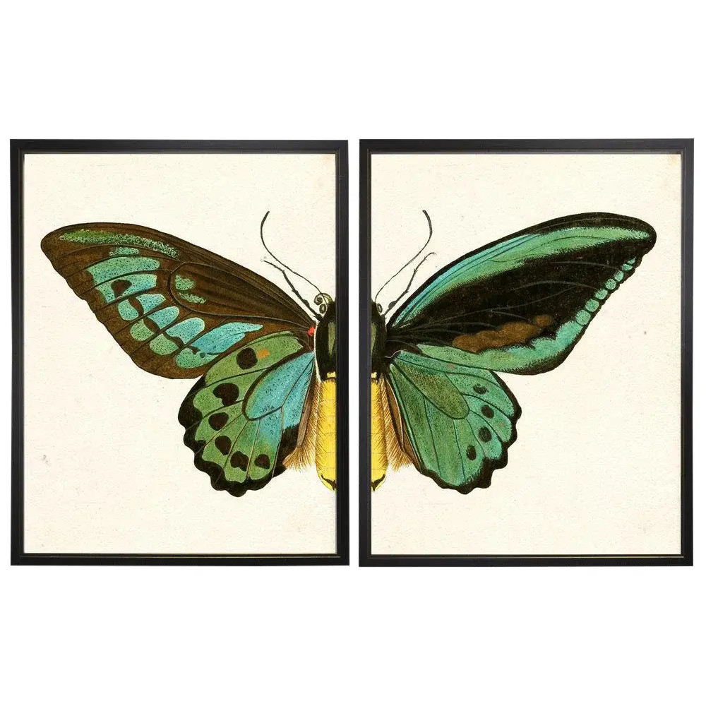 Split Turquoise Butterfly Prints in Copper & Black Shadowboxes 46"x29" - a Pair | Chairish