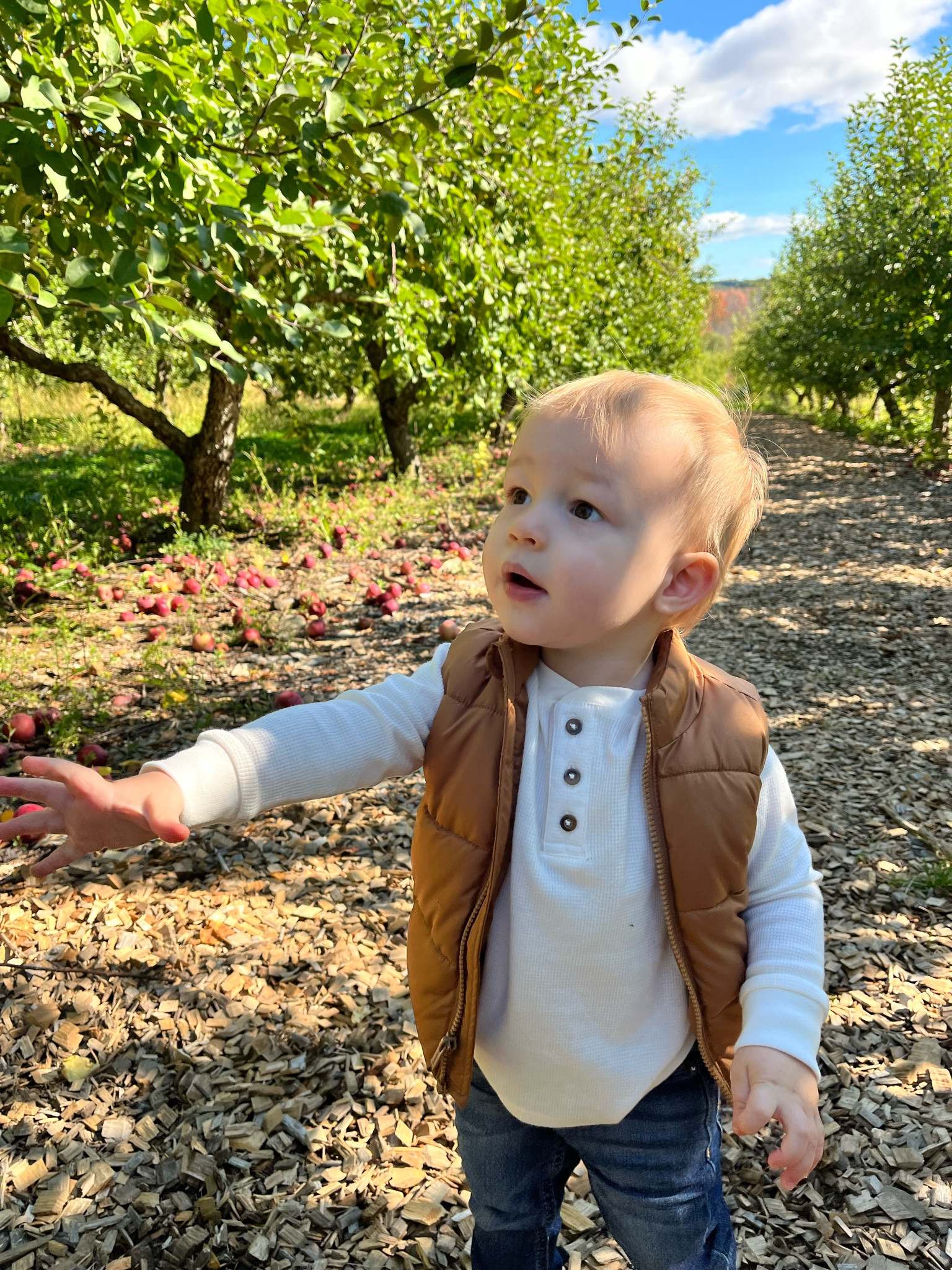 Fall Toddler Fit 

#LTKKids #LTKSeasonal #LTKStyleTip