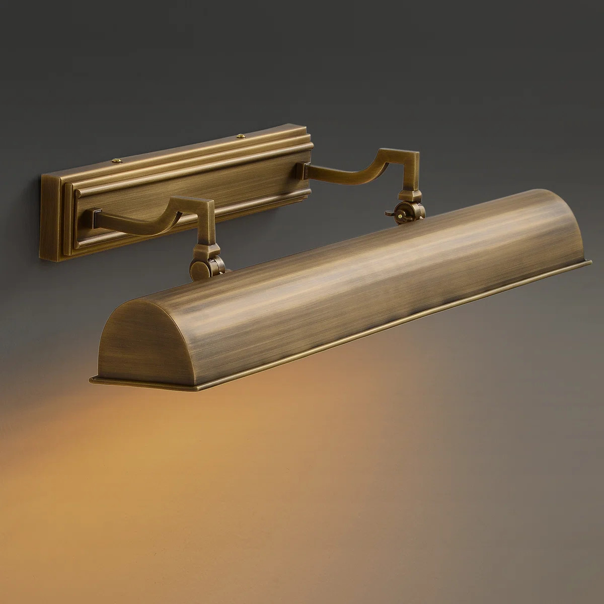 18" Luxury Vintage Adjustable Brass Wall Mounted Picture Light Gallery Library Painting Art Portr... | Wayfair North America