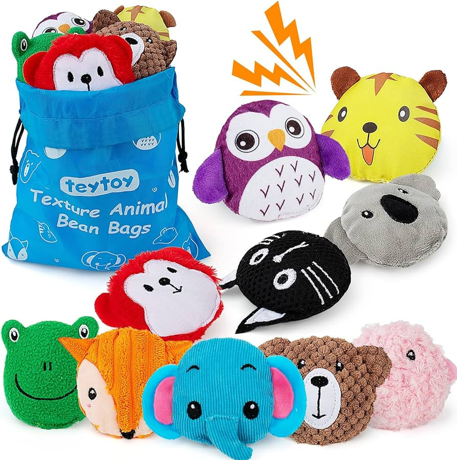 teytoy Sensory Bean Bag for Kids 10 Pack,Texture Sensory Beanbags,Sensory Toys for Autism,Animal ... | Amazon (US)
