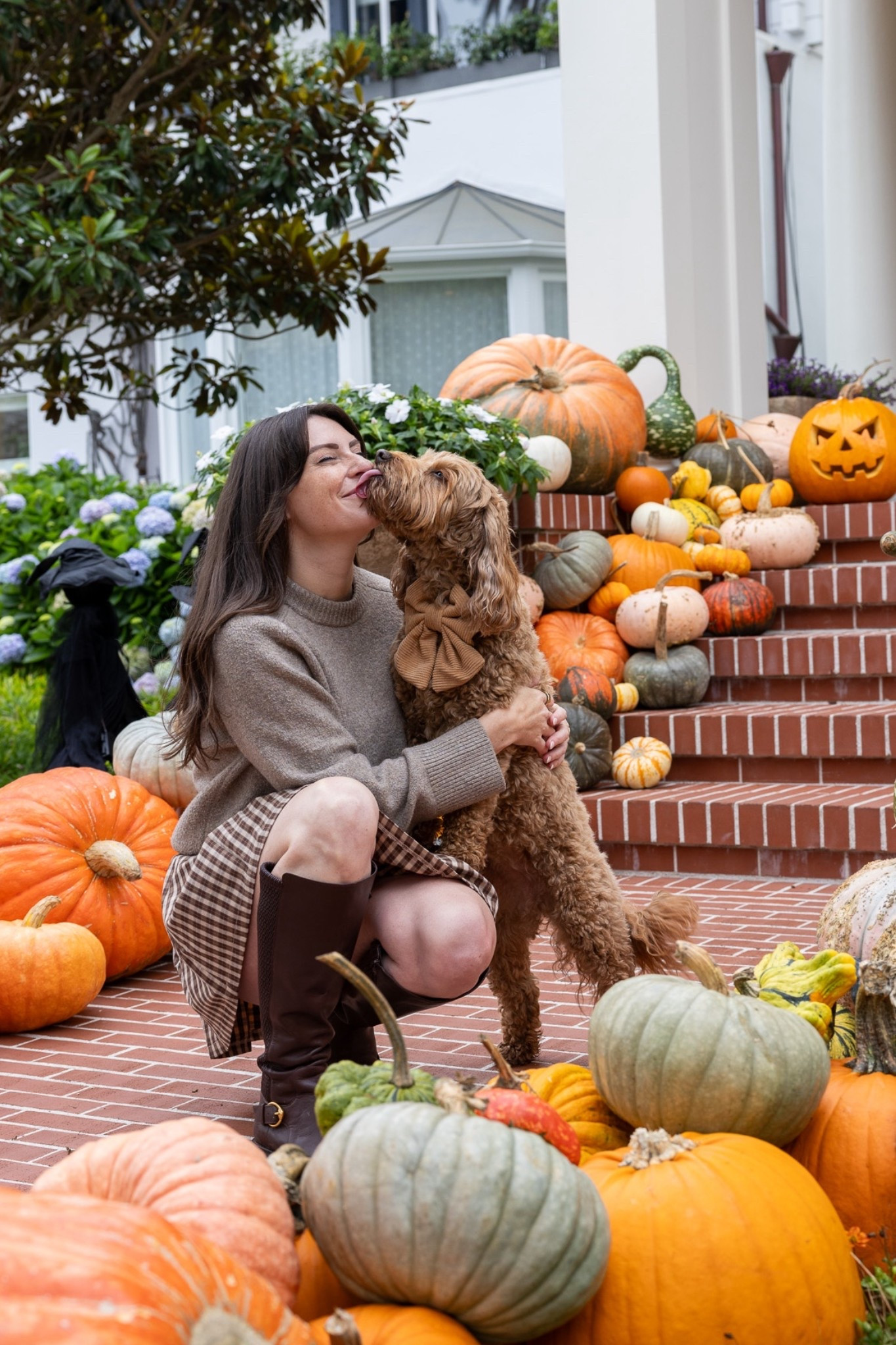 Fall browns 

#LTKSeasonal #LTKFindsUnder100