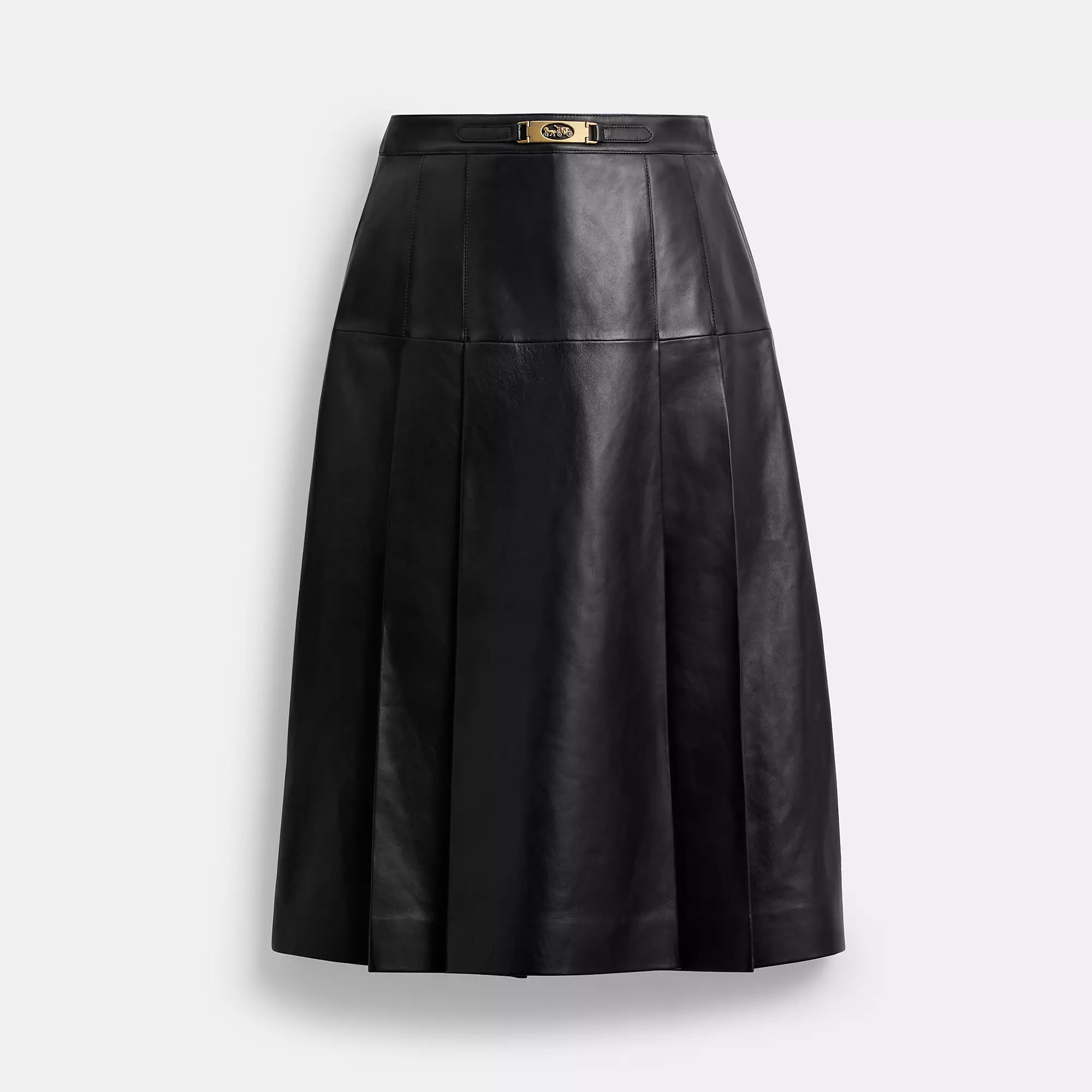 Maxi Leather Pleated Skirt | Coach (US)