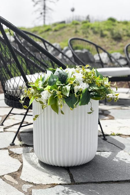 Would you believe this ISN'T a real plant?? I love a realistic and no-maintenance find!

Home  Home decor  Outdoor decor  Outdoor favorites  Outdoor finds  Garden finds  Seating area  Faux greenery  Spring home decor  Ourpnwhome

#LTKhome #LTKSeasonal