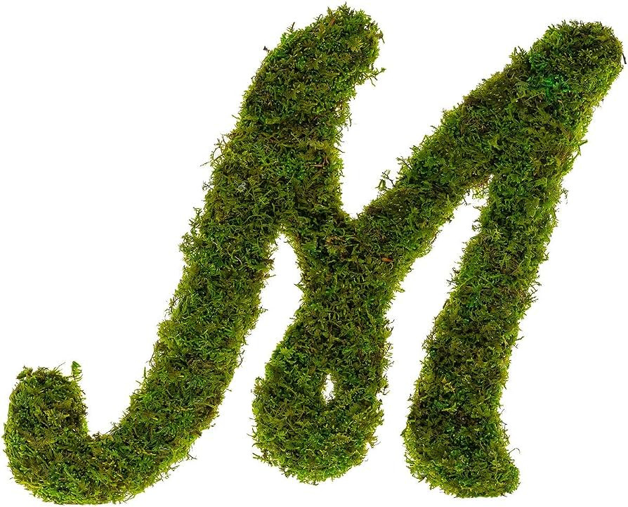Kahee's Plants Preserved Monogram Initials Moss Letter Art Design & Decor Wall Arrangement - Cust... | Amazon (US)