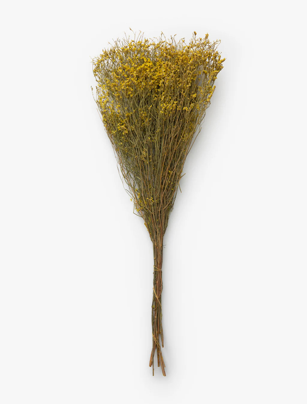 Dried Natural Pearl Grass Bunch | McGee & Co.