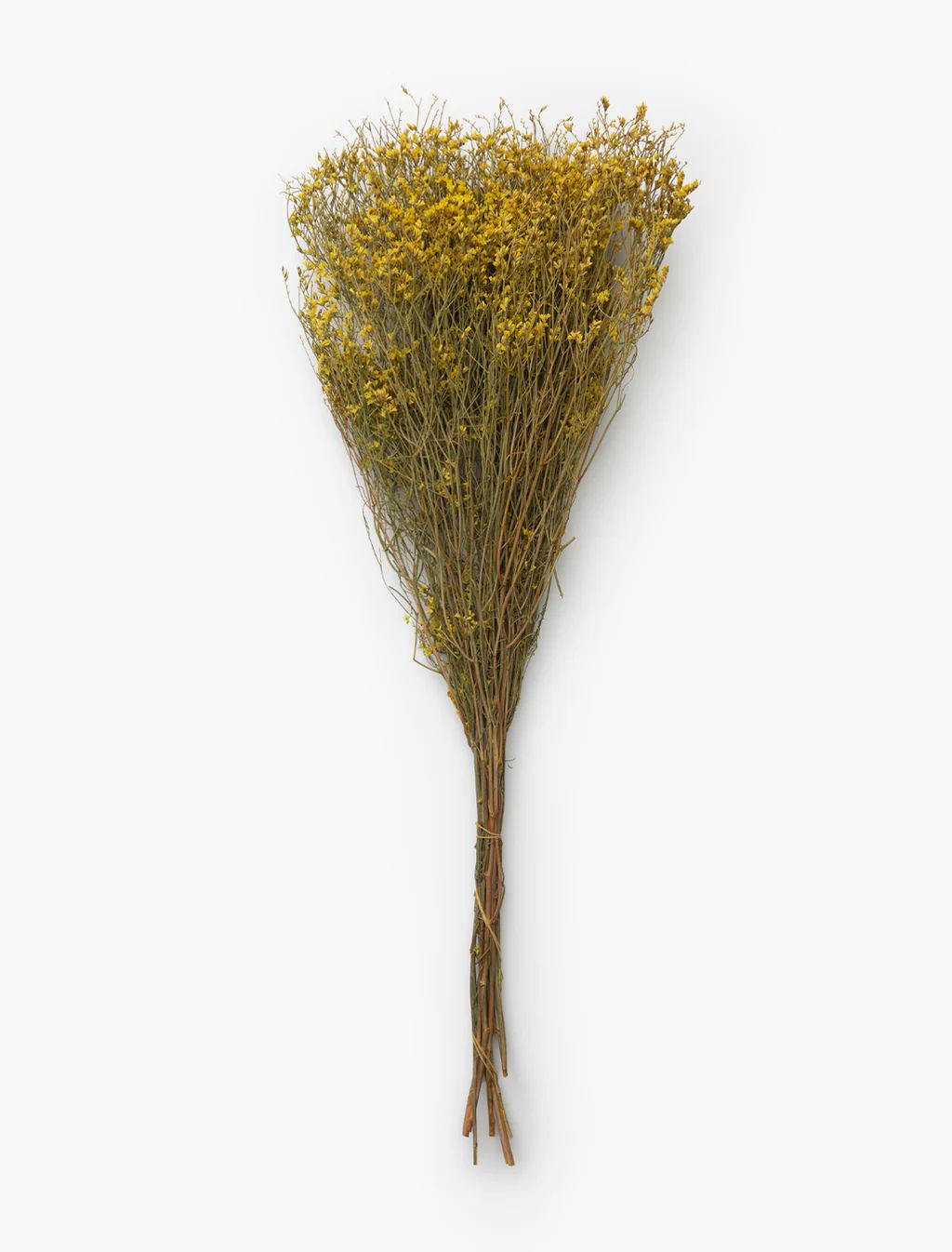 Dried Natural Pearl Grass Bunch | McGee & Co.