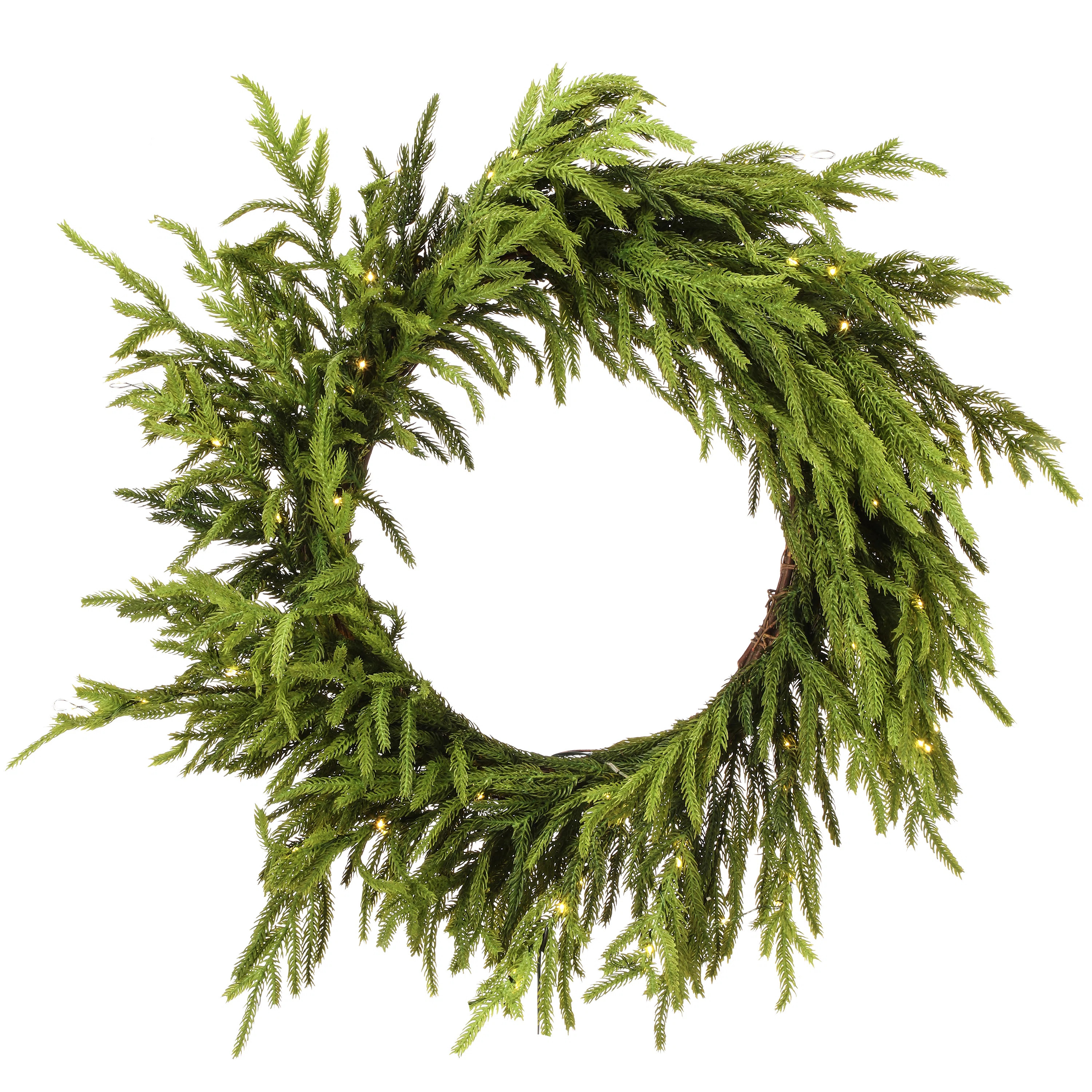24" LED Battery Operated Timer Natural Touch Norfolk Pine Wreath | Joss & Main