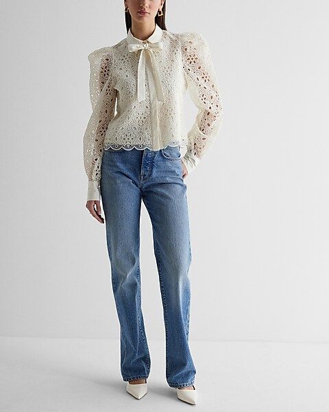 Eyelet Lace Tie Neck Puff Sleeve Top | Express