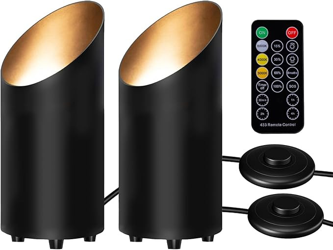 2 Pack Uplighting Indoor Floor Can Light with Remote,Dimmable Up Lights with 3000K/4000K/6000K Sp... | Amazon (US)