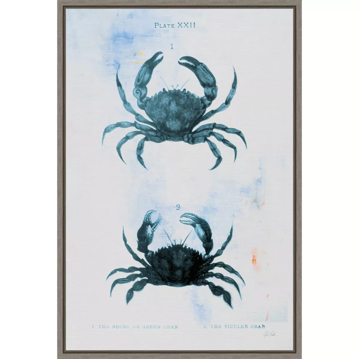 Amanti Art Blue Bay IV by Deborah Revell Framed Canvas Wall Art | Target