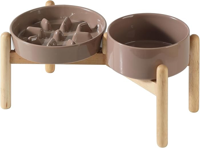 Ceramic 1.2 Cup Raised Slow Feeder Dog Bowl Set, Elevated 6.1inch Bowl and 7.3inch Slow Pet Food ... | Amazon (US)