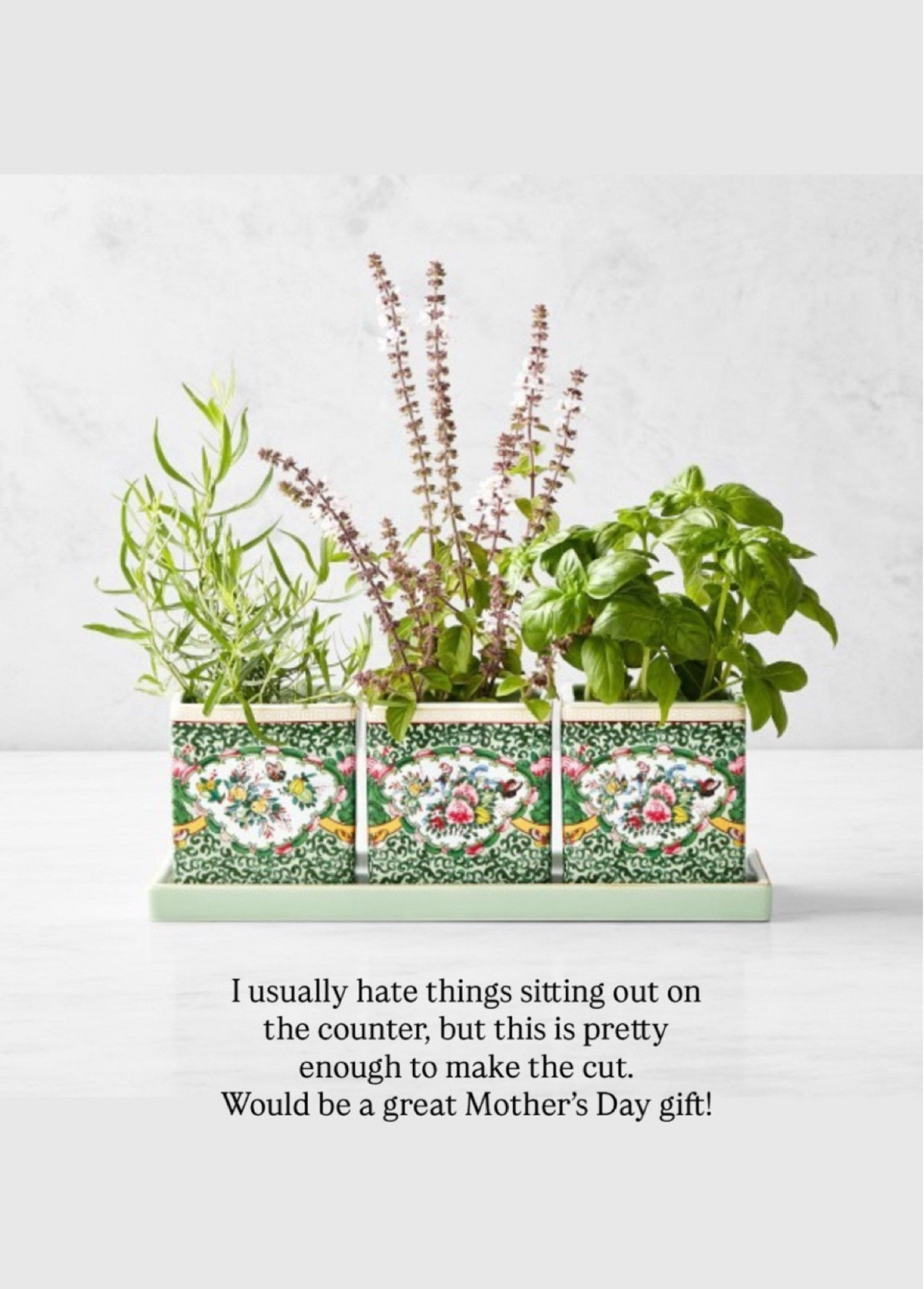 If you need a Mother’s Day gift, this is it! I normally don’t love things laying out on the counter, but this planter is so pretty! Would be great for your mother or mother-in-law, or someone who you feel like has it all!

#LTKMothersDay