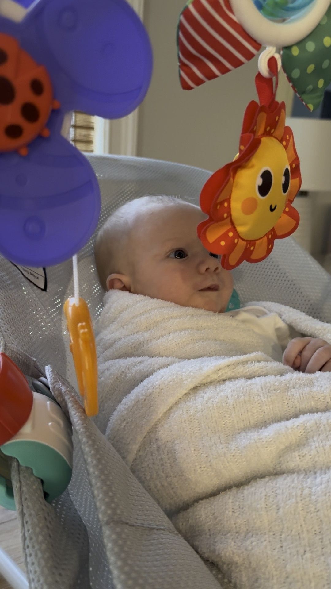 Baby bouncer toy bar // Less than $25! 

#LTKbaby #LTKsalealert #LTKfindsunder50
