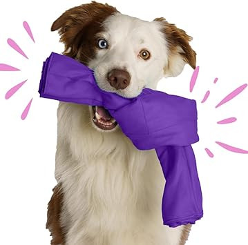 SnuffleKnot The Original Snuffle Toy, Dog Enrichment, Dog Toys Interactive, Dog Puzzle, Snuffle m... | Amazon (US)