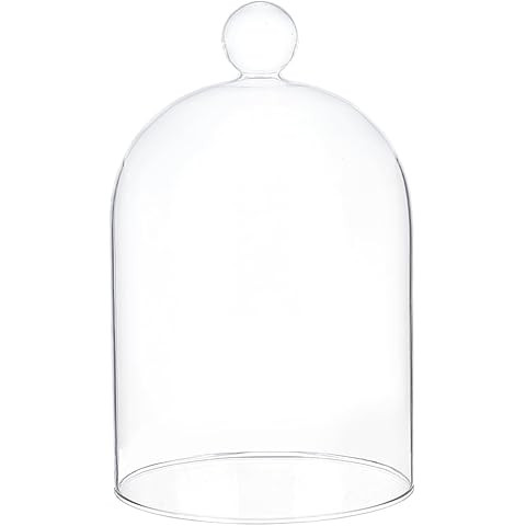 7.5" Tall Handmade Glass Cloche, Thick & Sturdy, Dia 5"xH 7.5", For Terrarium, Plants, Trinkets, ... | Amazon (US)